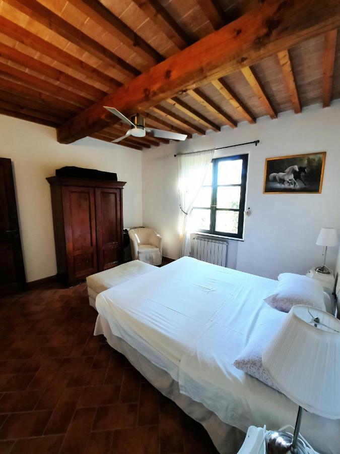 Il Casolare Val Di Mare Apartment Riparbella Luaran gambar