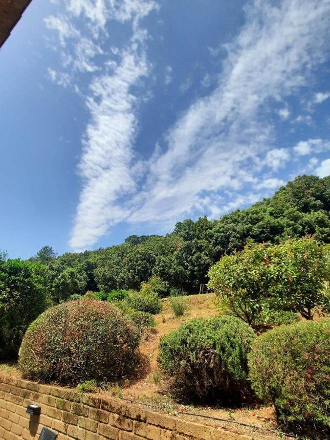 Il Casolare Val Di Mare Apartment Riparbella Luaran gambar